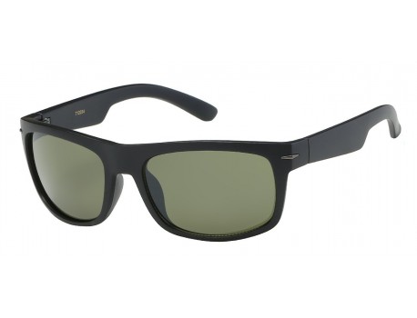 Classic Sunglasses 712034