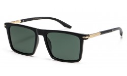 Polarized Classic Sunglasses pz-713067