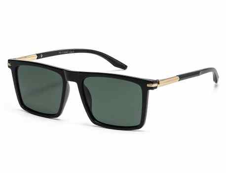 Polarized Classic Sunglasses pz-713067