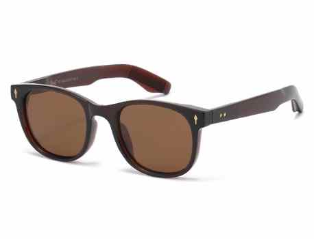 Polarized Giselle Sunglasses pz-gsl22537