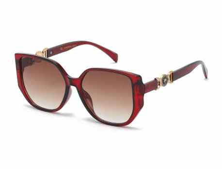 VG Rounded Square Frame Sunglasses vg29558