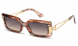 VG Metallic Temple Sunglasses vg29565