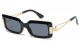 VG Metallic Temple Sunglasses vg29565