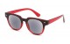 Sun Readers Round Tinted Lens r480-sun