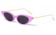 Thin Fashion Cat Eye Sunglasses p30307