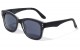 Wayfarer Soft Touch Sunglasses wf04-st 