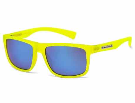 Biohazard Sunglasses bz66182