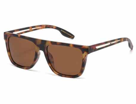 Manhattan Polarized Square Frame pz-mh87082