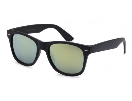 Matte Black Kids Wayfarer Sunglasses 